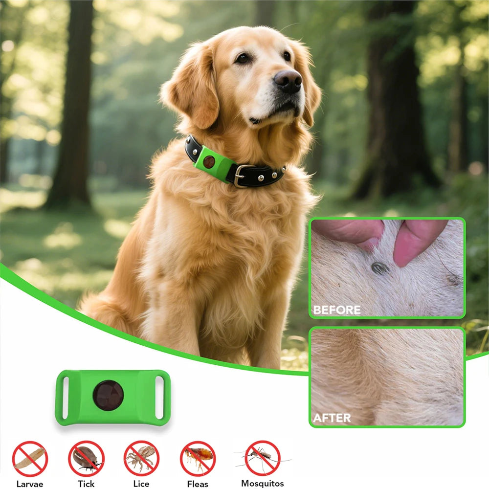 Protect Your Dog From Fleas & Ticks Without Harsh Chemicals Long-Lasting Protection for Up to 12 Months